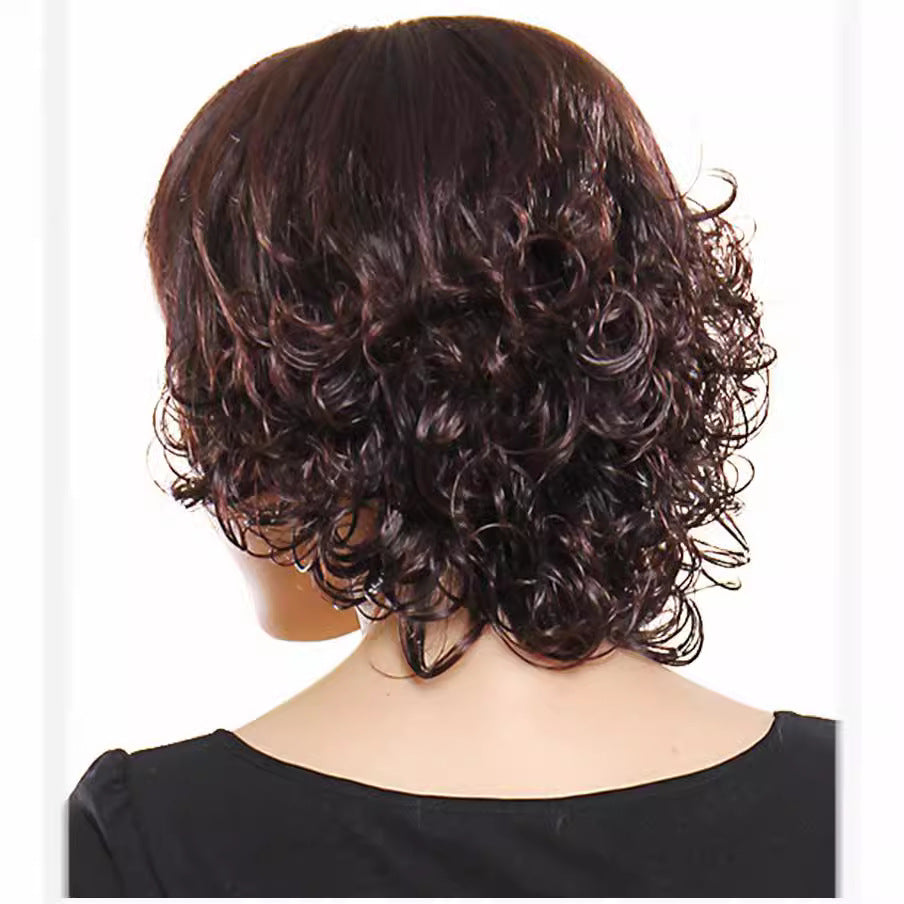 Women's -Looking Short Loose Curly Wig - Full Cover Elderly/Middle-Aged Mom Hairpiece Suitable for Daily Wear, Parties, Theater Costumes - Comfortable & Versatile Elderly Woman Wig