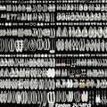 [Holidays Parties Gifts] Random Selection Of 48 Pairs Of Stylish, Minimalist Alloy Earrings, Perfect For Everyday Wear, Holidays, Parties And As Festive Gifts