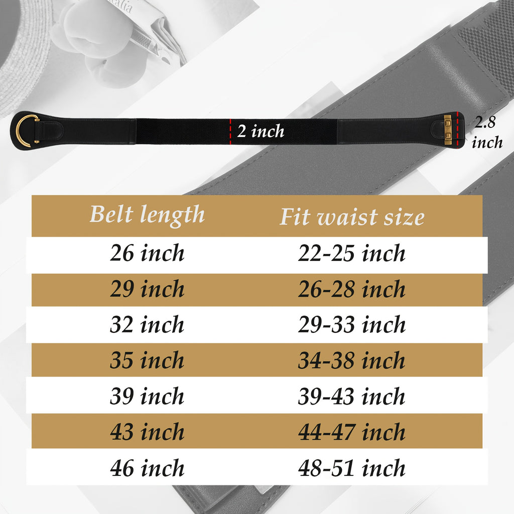 SUOSDEY 1pc Women's Retro Elastic Waistband Elastic Waistband, Dress Accessories, Holiday Outfits
