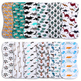 Animal Models