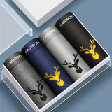 4 Pack-LT Model