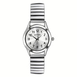 Silvery-B