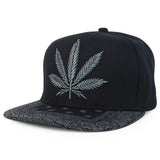 Black Black 6