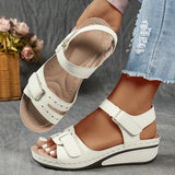 Beige Color