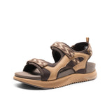 【Brown】
